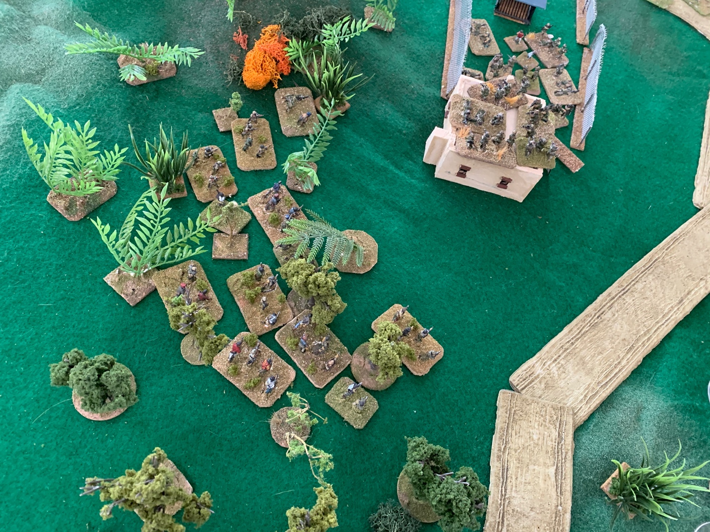 A picture containing photo, table, sitting, green

Description automatically generated